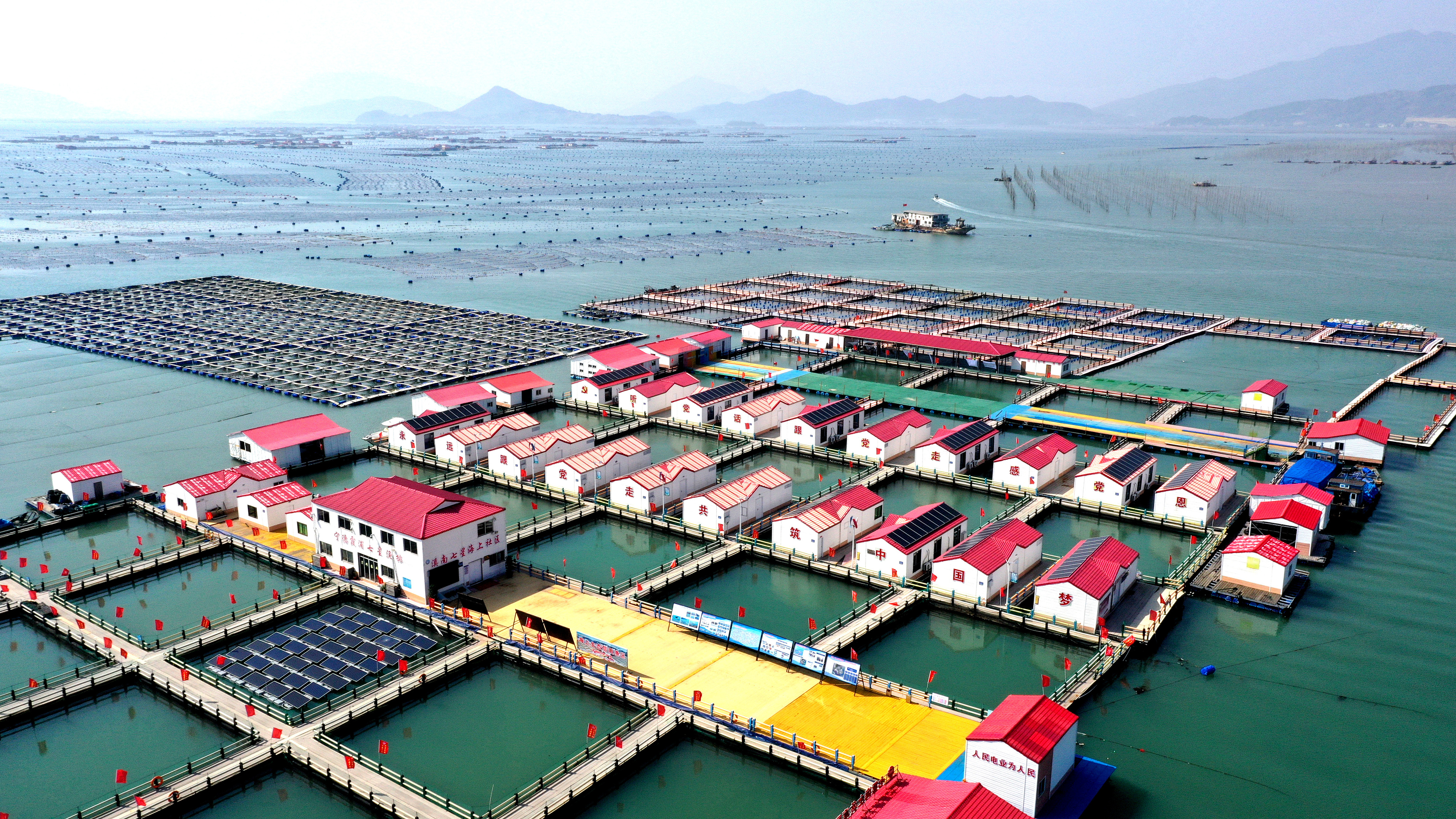 2024年3月20日，福建省寧德市，霞浦縣溪南鎮(zhèn)七星村漁排養(yǎng)殖示范區(qū)，漁民駕駛養(yǎng)殖船進(jìn)行海參養(yǎng)殖作業(yè)。