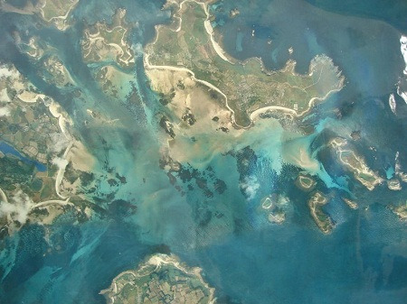 科學(xué)家稱(chēng)海平面上升將導(dǎo)致大量生物滅絕（圖）