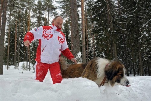 普京帶著寵物犬在雪地里散步。