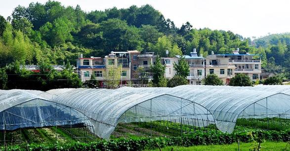 （走基層 聽民聲）（4）福建長?。何羧斩d坡地 今日花果山