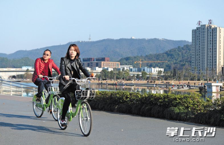 梅溪湖畔，市民們騎著共享單車賞景。長(zhǎng)沙晚報(bào)記者 鄒麟 攝