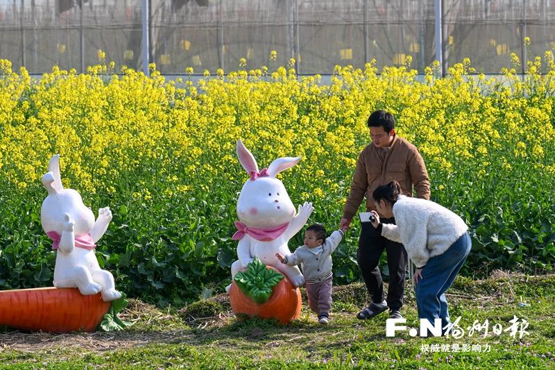 福州百花盛開，“賞花經(jīng)濟(jì)”如何持久綻放？